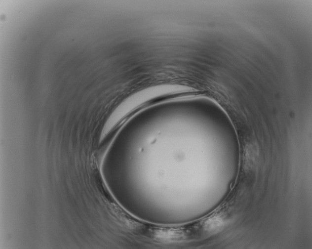 X0000067000177200603311623