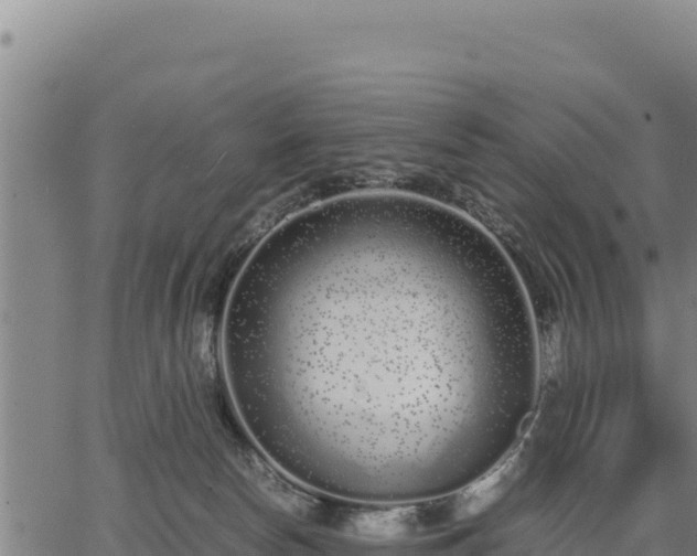 X0000067000178200603311623