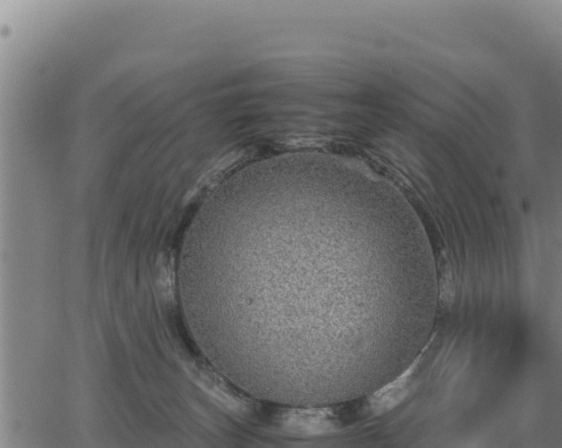 X0000067000179200603311623