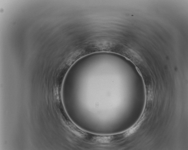 X0000067000182200603311623