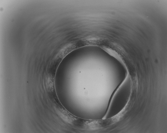 X0000067000186200603311624