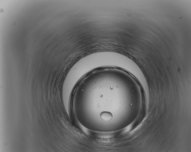 X0000067000187200603311624