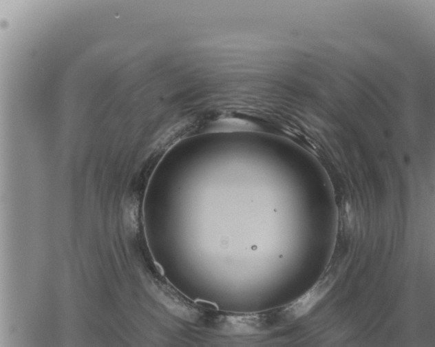 X0000067000188200603311624