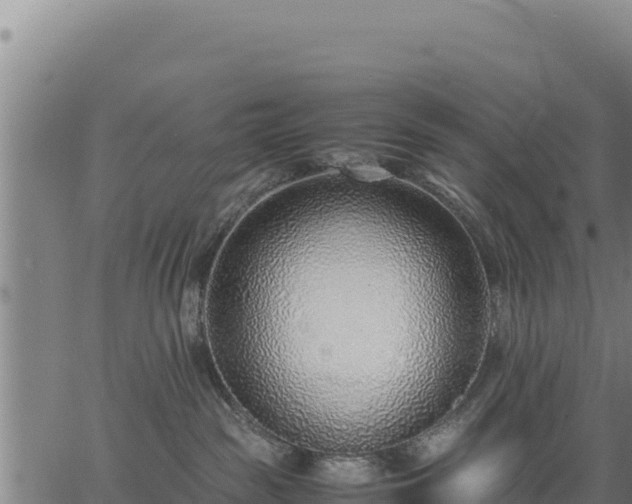 X0000067000189200603311624