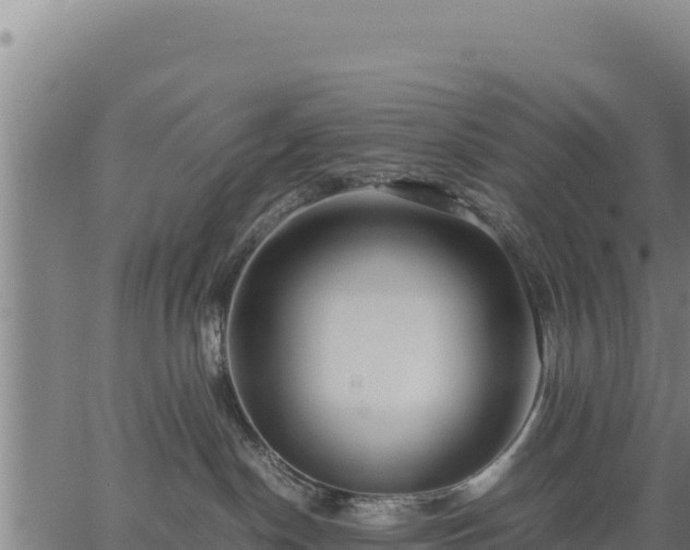 X0000067000190200603311624