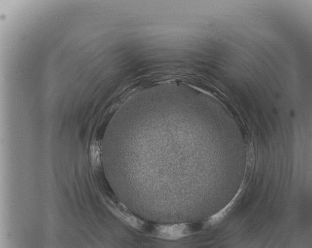 X0000067000191200603311624