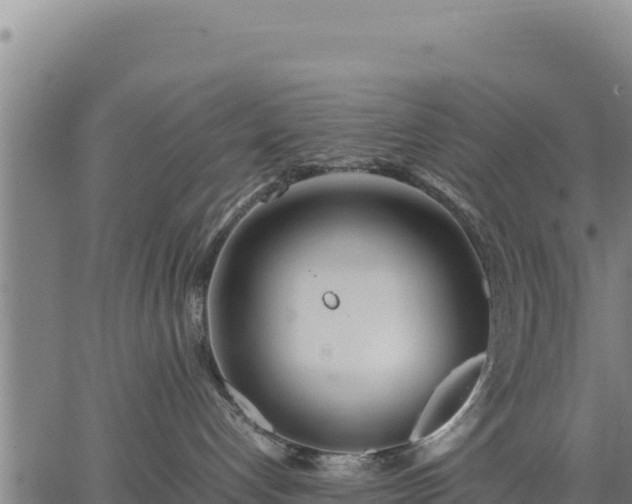 X0000067000192200603311624