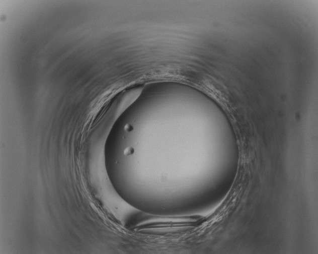 X0000067000193200603311623