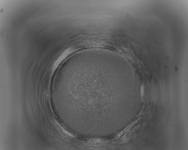 X0000067000195200603311623