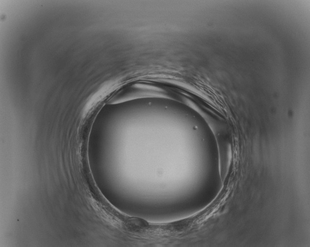 X0000067000197200603311623