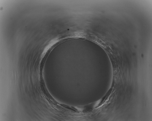 X0000067000200200603311623