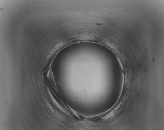 X0000067000201200603311623