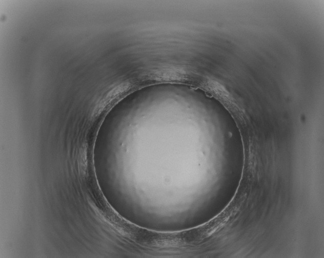 X0000067000202200603311623