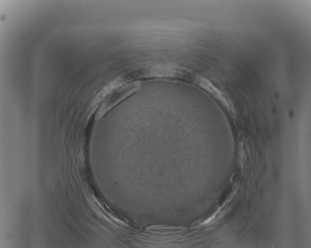 X0000067000203200603311623