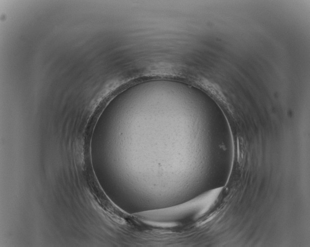 X0000067000204200603311623