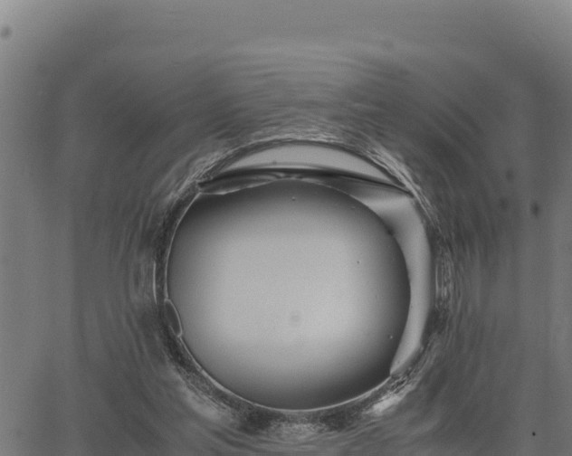 X0000067000205200603311623