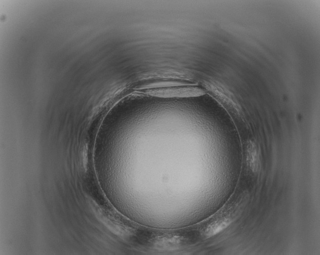 X0000067000206200603311623