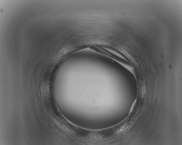 X0000067000207200603311623