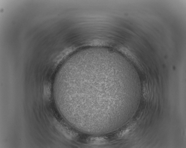 X0000067000208200603311623