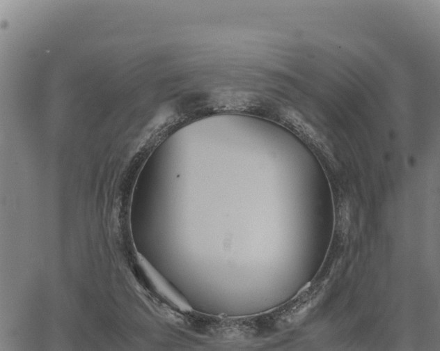 X0000067000209200603311623