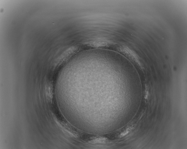 X0000067000210200603311623