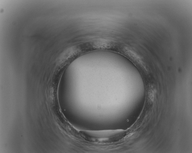 X0000067000211200603311623