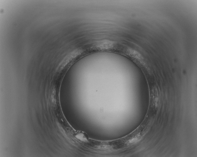 X0000067000212200603311623