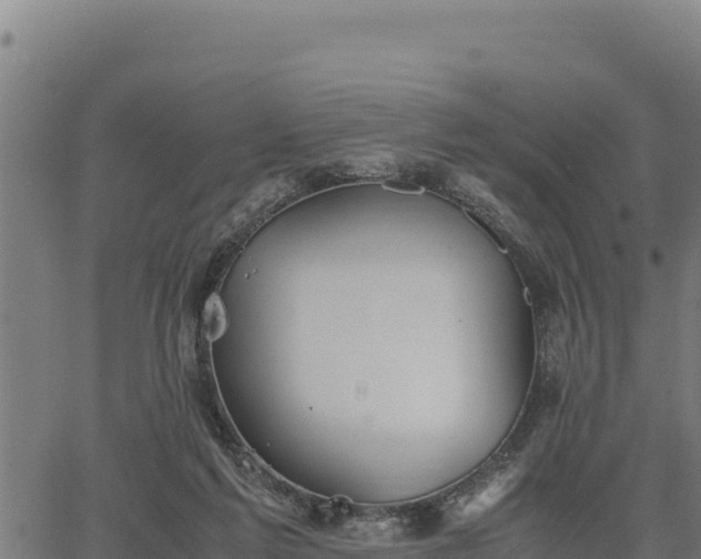 X0000067000213200603311623