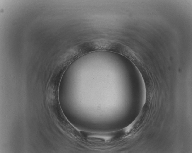 X0000067000215200603311623