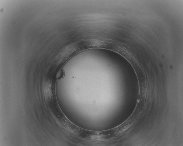 X0000067000216200603311622