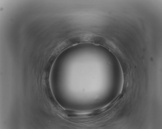 X0000067000217200603311622