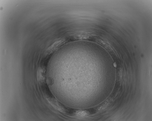 X0000067000218200603311622