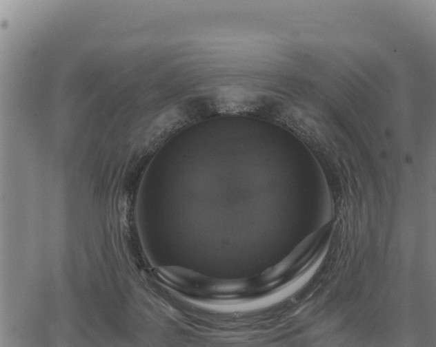 X0000067000219200603311622