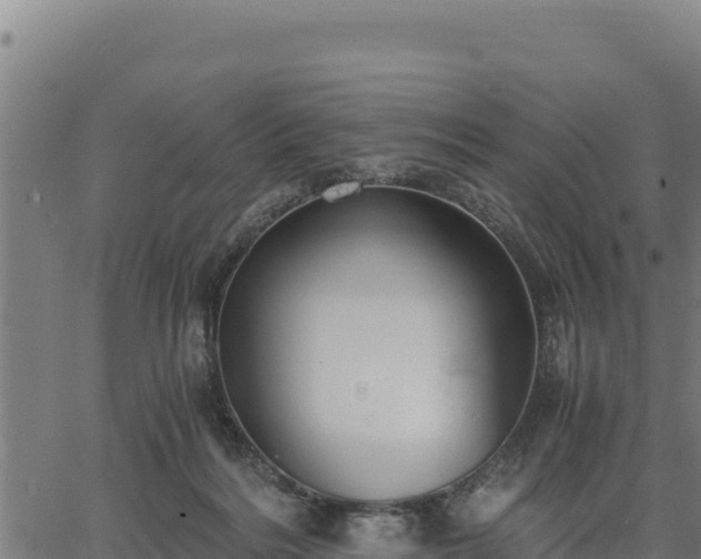 X0000067000220200603311622