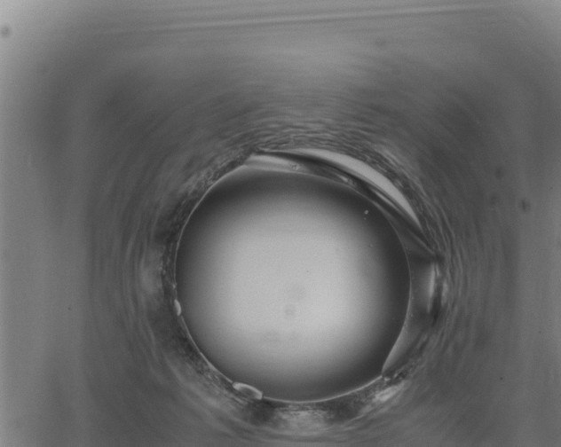 X0000067000221200603311622