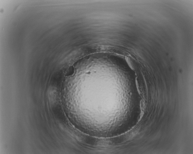 X0000067000222200603311622