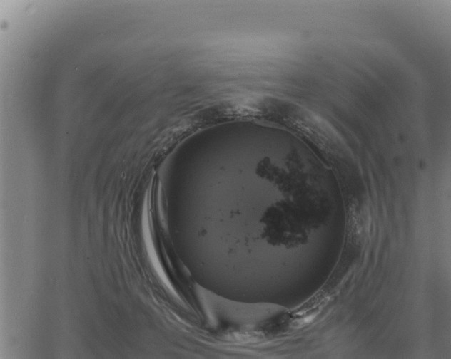 X0000067000223200603311622