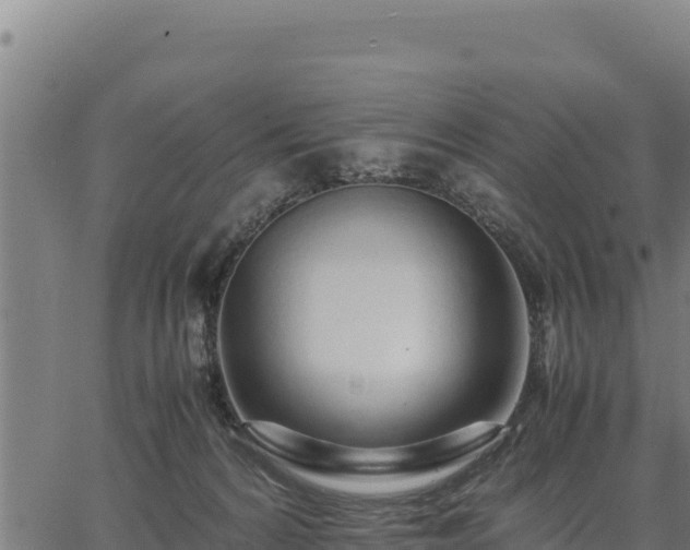 X0000067000224200603311622