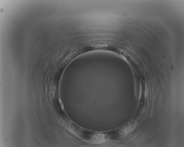 X0000067000227200603311622