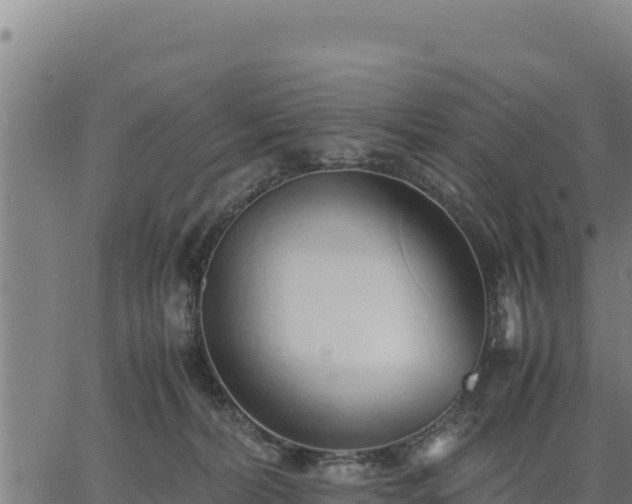 X0000067000228200603311622