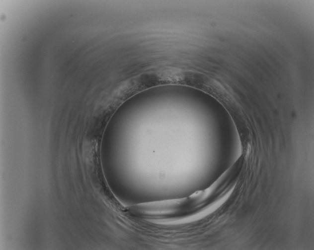 X0000067000229200603311622