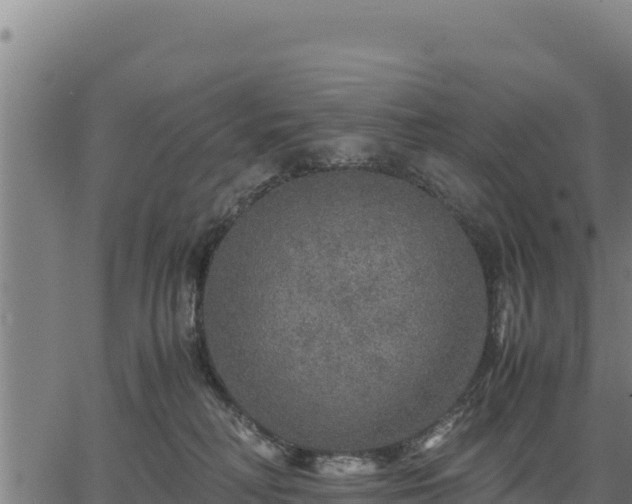 X0000067000230200603311622