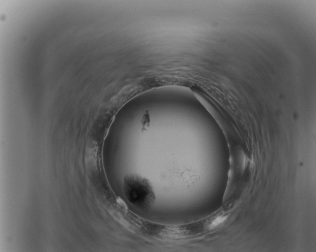 X0000067000231200603311622