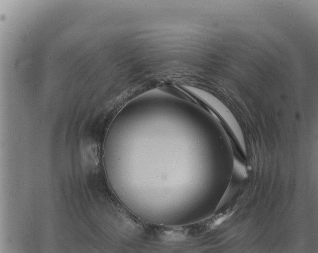 X0000067000232200603311622