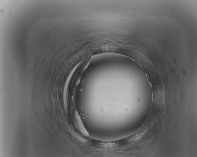 X0000067000233200603311622