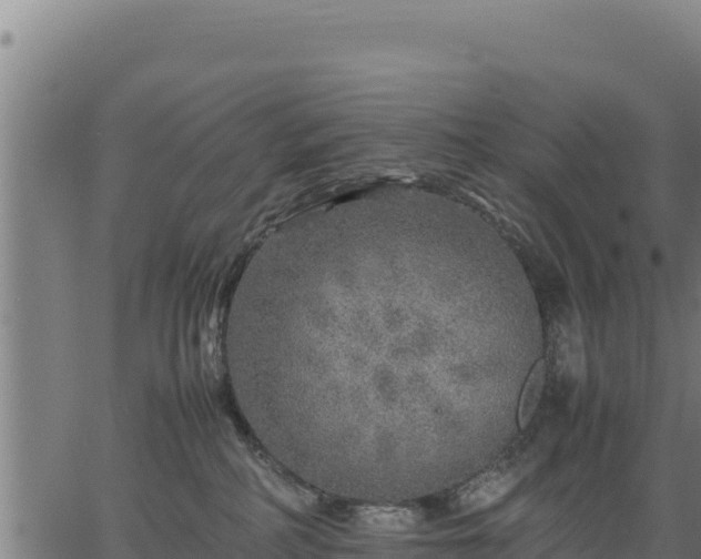 X0000067000234200603311622