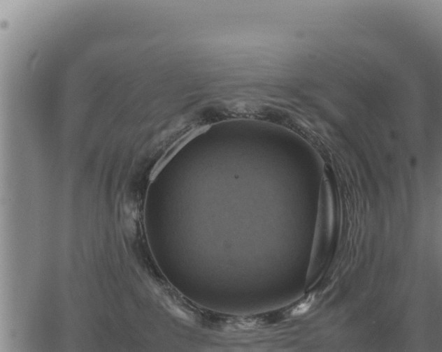 X0000067000235200603311622