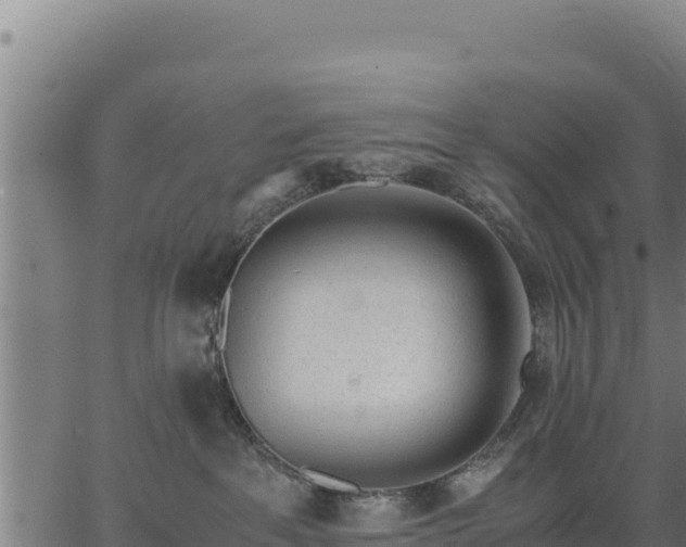 X0000067000237200603311622