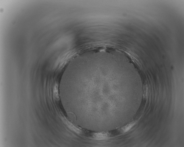 X0000067000238200603311622