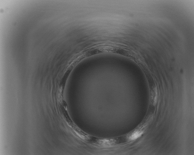 X0000067000239200603311622